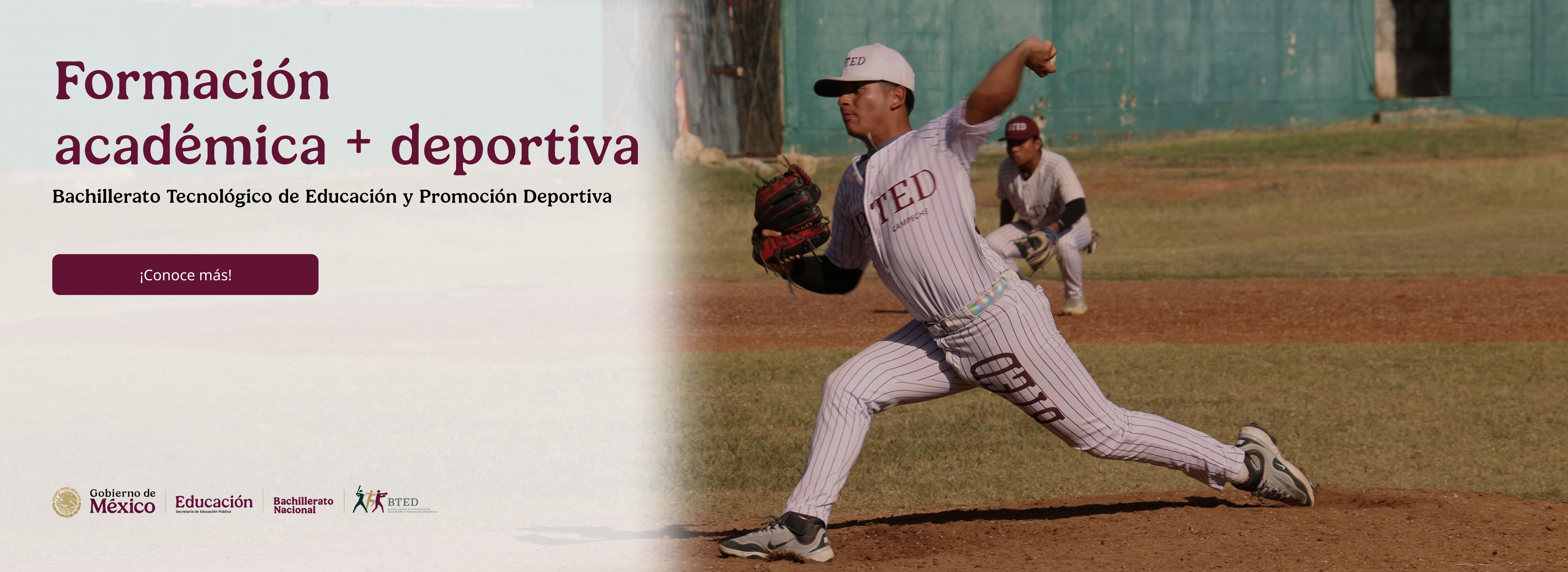 BTED portada