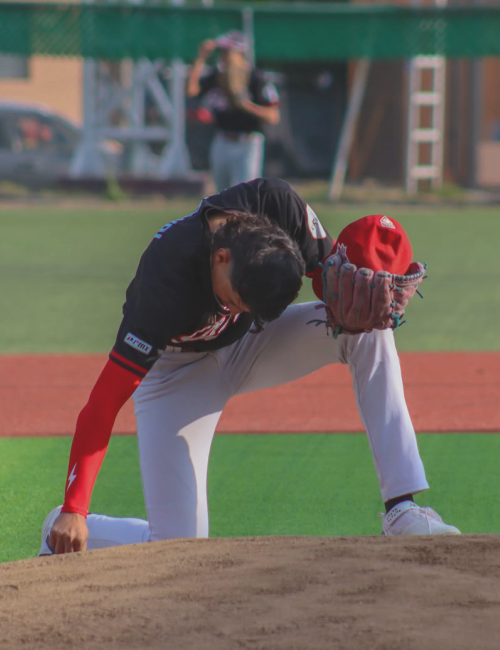BTED | Beisbol